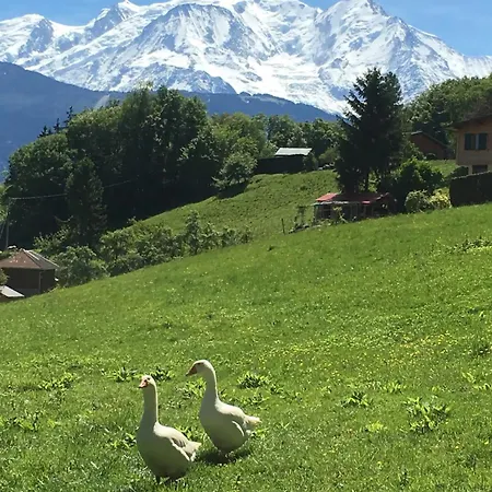 Appartement Studio Le Cocon Sallanches